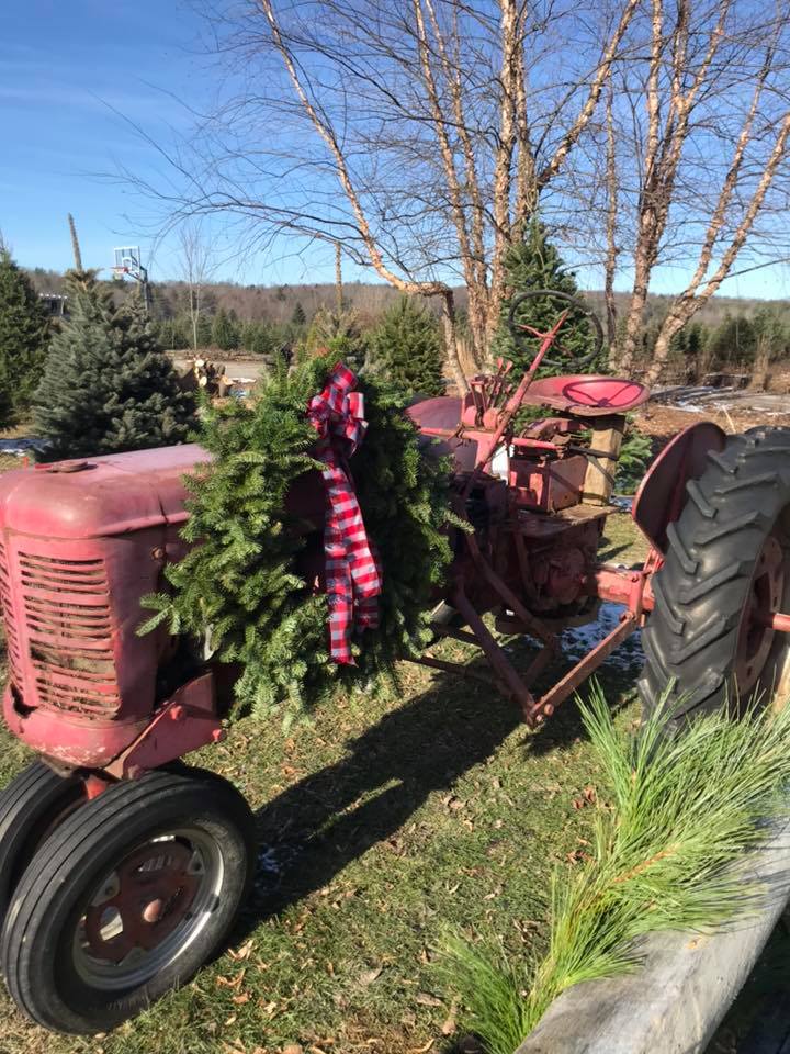 Bucky's Tree Farm Tractor