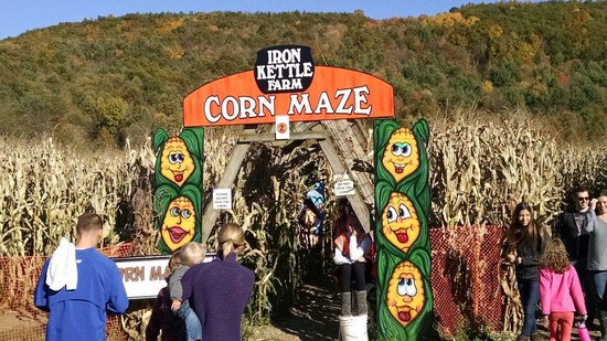 Corn Maze at Iron Kettle Farm