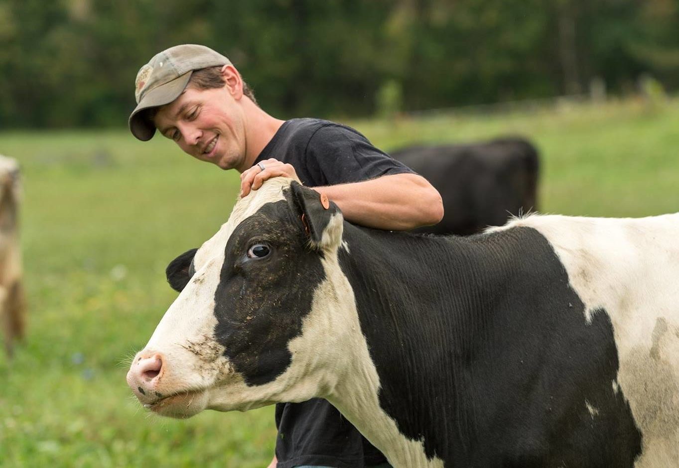 Engelbert Farms happy cow