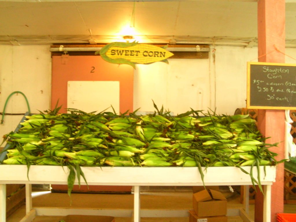 Stoughton Farm Sweet Corn
