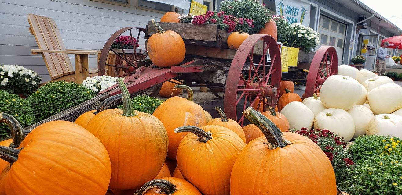 Fitzpatrick pumpkins