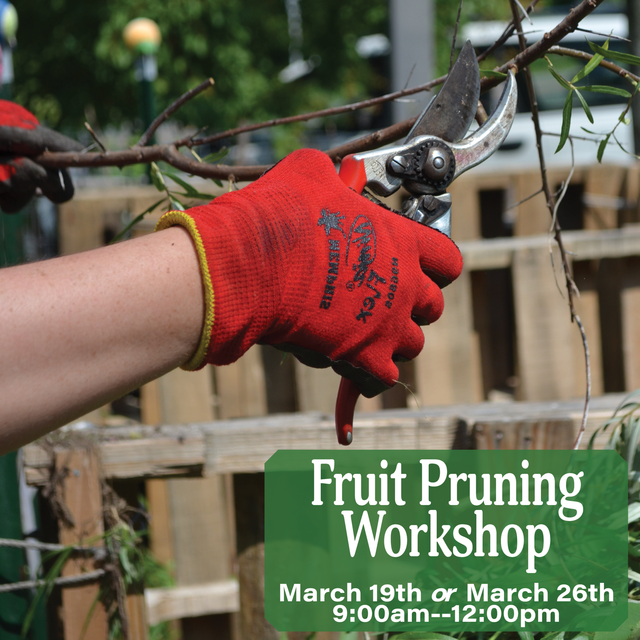 FLFC pruning workshop