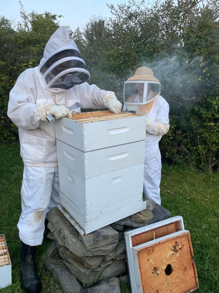 Beekeeping