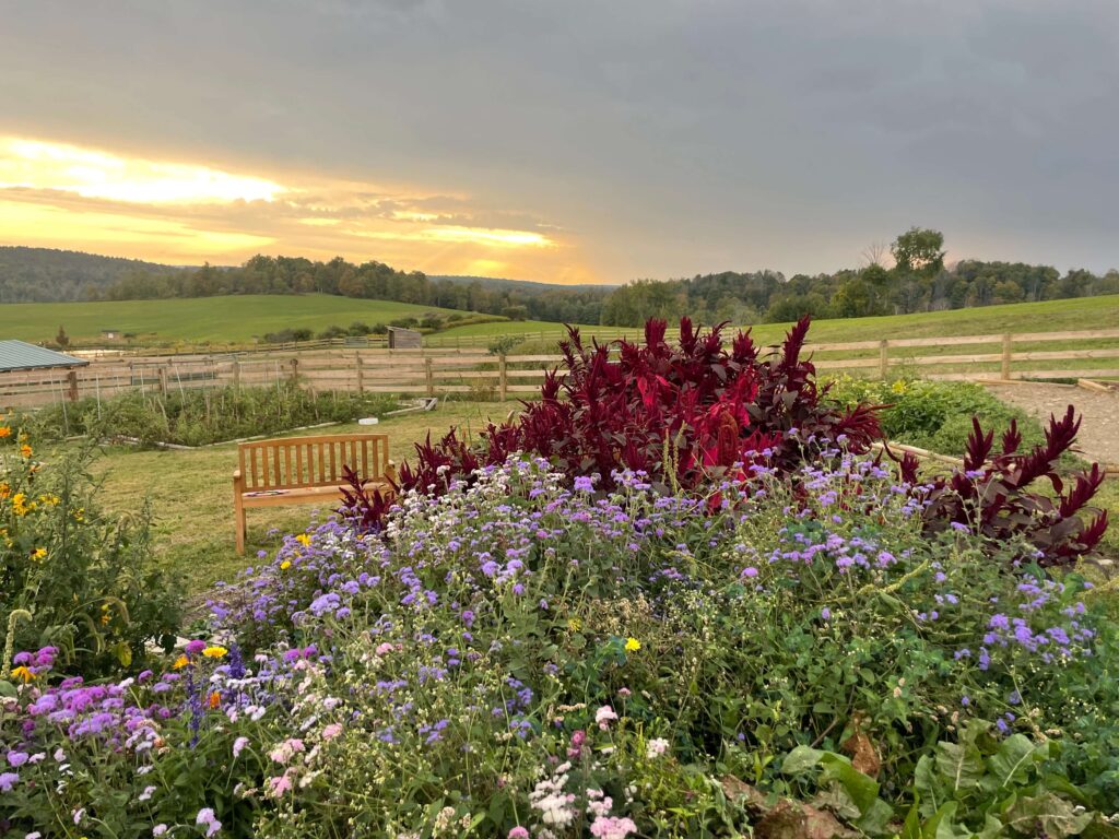 Bluebird Trail Farm
