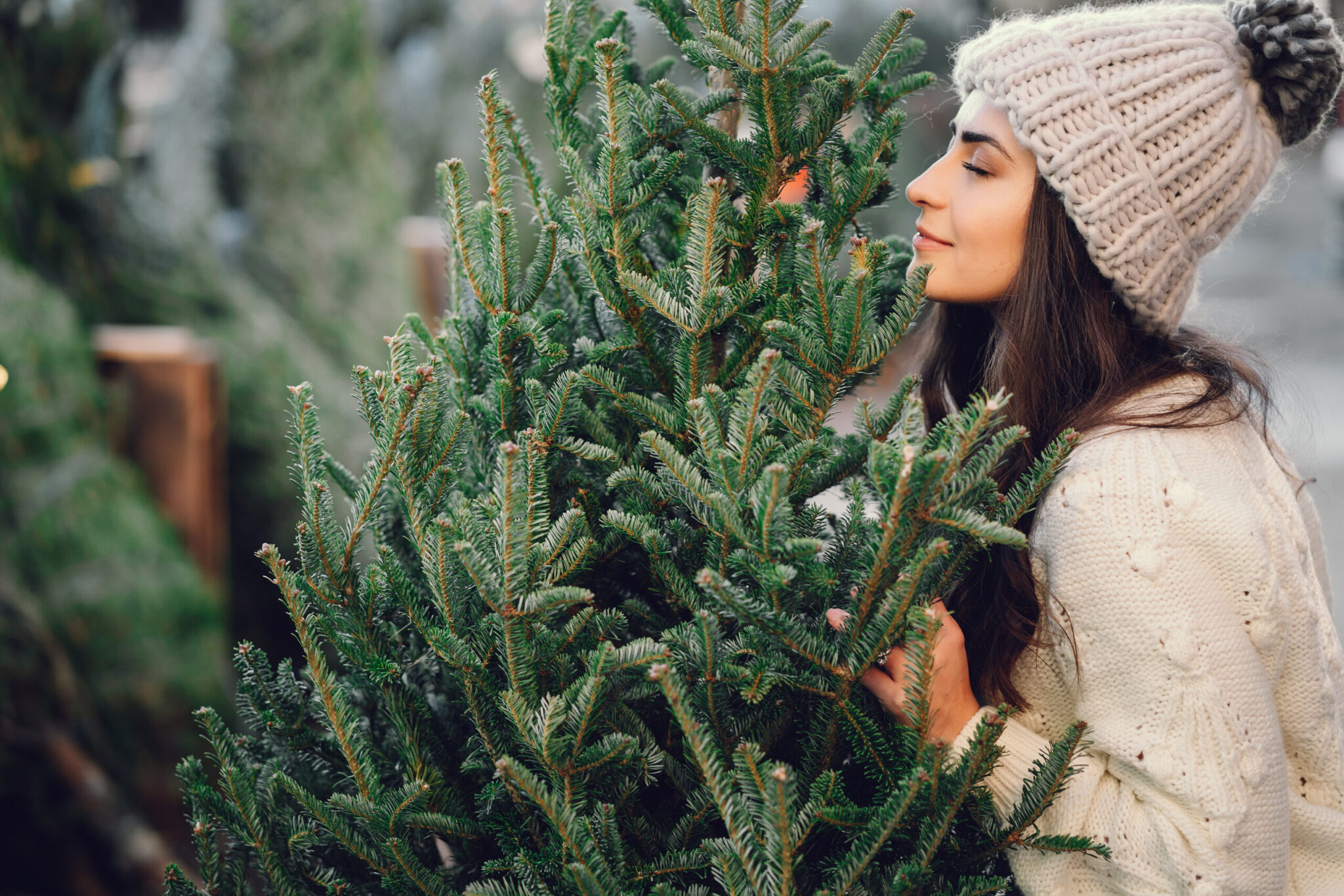 Fir Tree