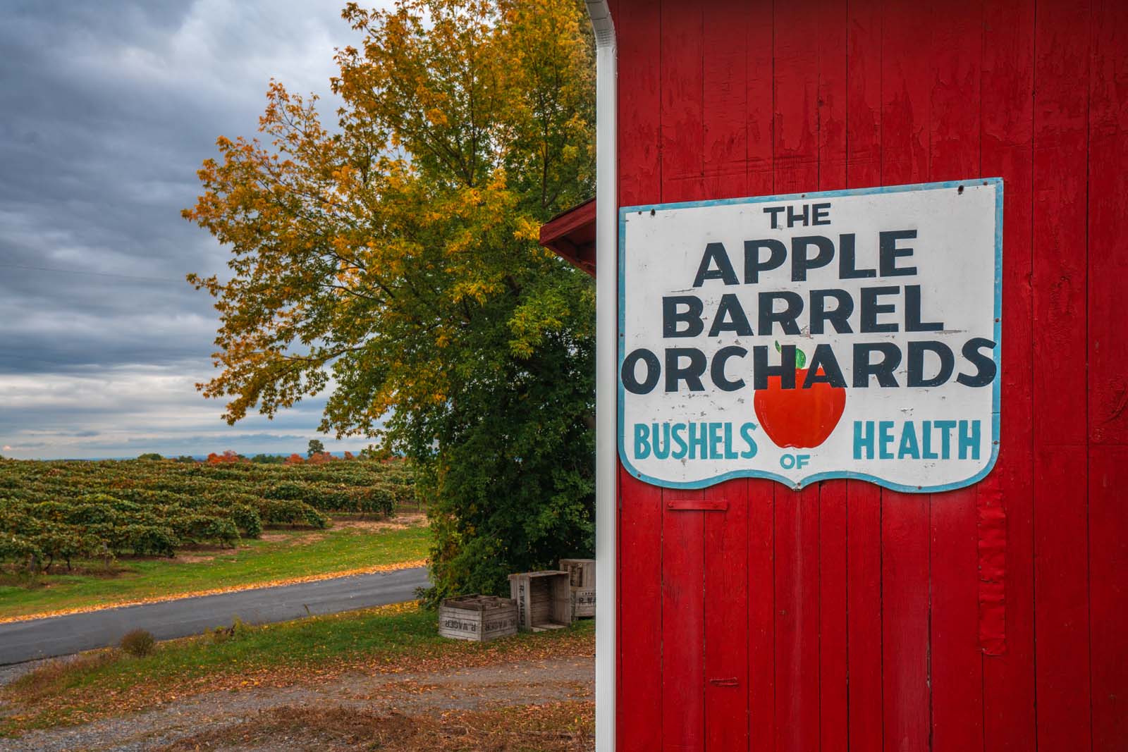 Apple Barrel Orchards courtesy Finger Lakes Countrysides